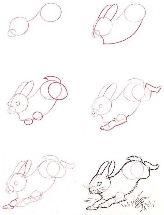 50 idées de dessins d'animaux faciles à faire 8 50 idées de dessins d'animaux faciles à faire 8