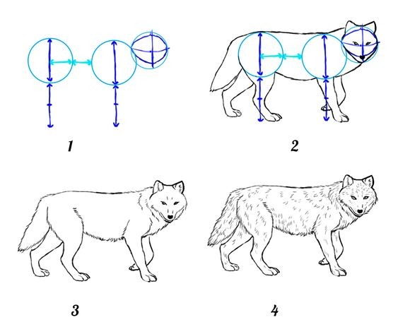 50 idées de dessins d'animaux faciles à faire 10 50 idées de dessins d'animaux faciles à faire 10