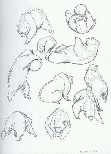 50 idées de dessins d'animaux faciles à faire 11 50 idées de dessins d'animaux faciles à faire 11