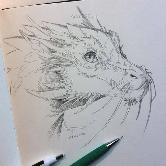 50 idées de dessins d'animaux faciles à faire 41 50 idées de dessins d'animaux faciles à faire 41