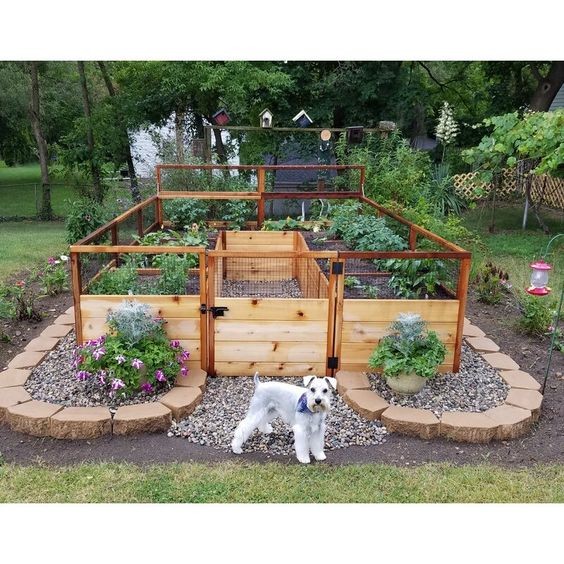 Les 18 plus belles idées de jardin potager 12