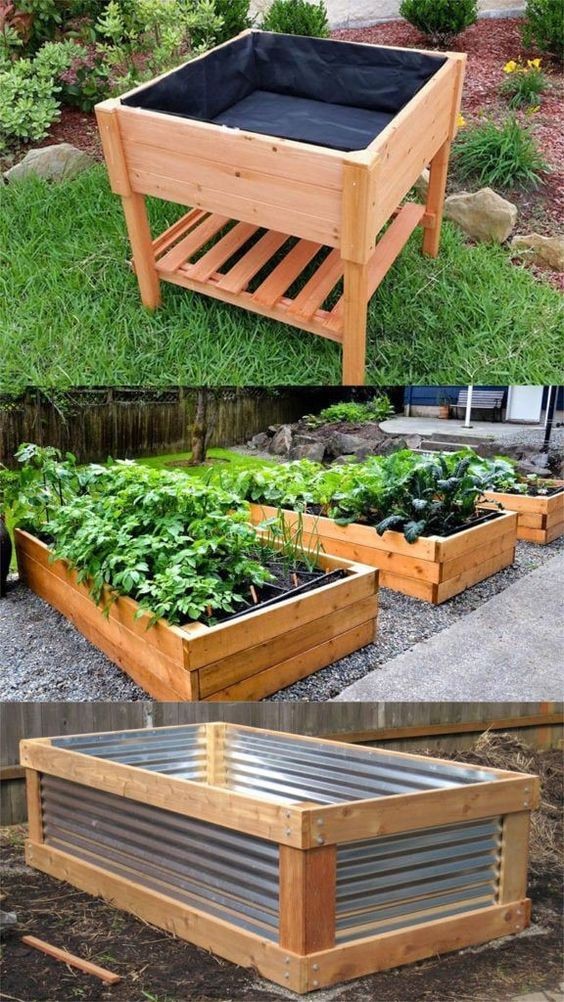 Les 18 plus belles idées de jardin potager 15