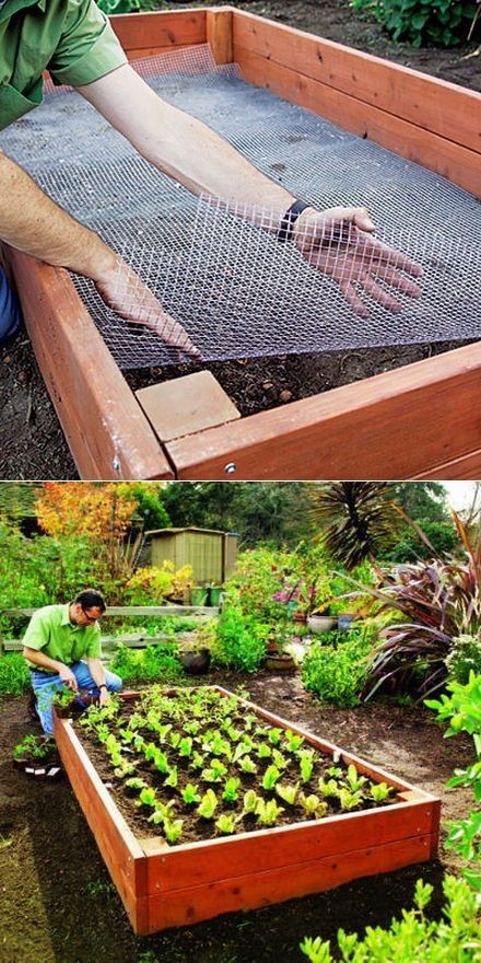 Les 18 plus belles idées de jardin potager 6