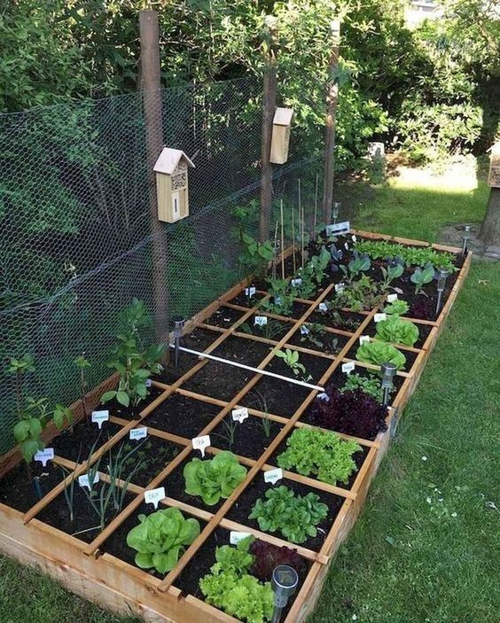 Les 18 plus belles idées de jardin potager 7