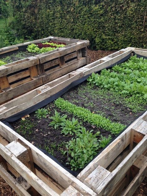 Potager en palette : 41 exemples de fabrications réussies pour t'inspirer 27 Potager en palette : 41 exemples de fabrications réussies pour t'inspirer 27