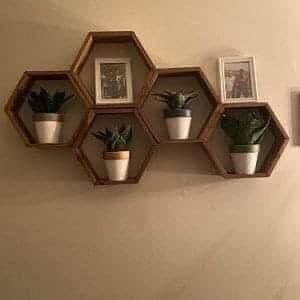 28 Étagères pour les plantes de votre maison 17 28 Étagères pour les plantes de votre maison 17