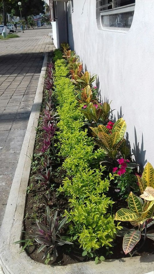 27 jardinières qui seront magnifiques dans des terrasses pas trop grandes 5 27 jardinières qui seront magnifiques dans des terrasses pas trop grandes 5
