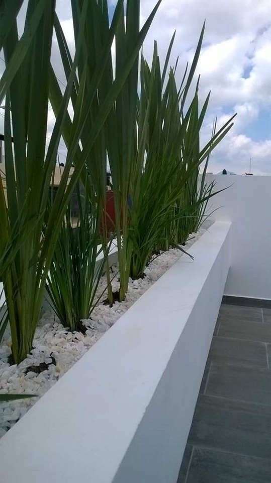 27 jardinières qui seront magnifiques dans des terrasses pas trop grandes 22 27 jardinières qui seront magnifiques dans des terrasses pas trop grandes 22