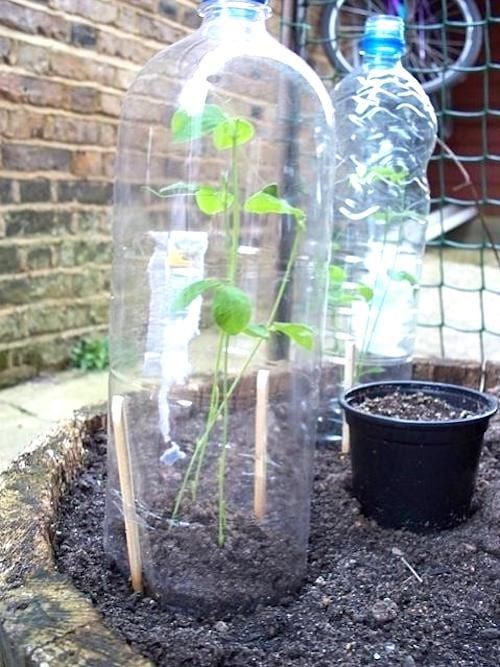 13 Bricolages avec des bouteilles en plastique vide 10 13 Bricolages avec des bouteilles en plastique vide 10