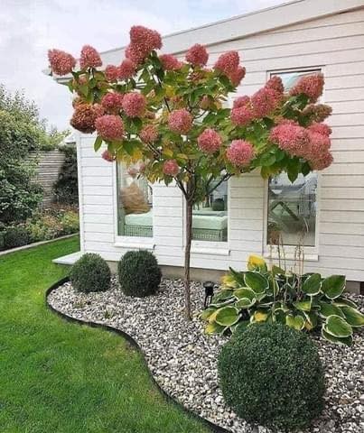 10 bonnes idées pour le jardin 2
