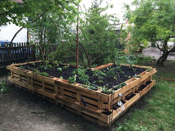Potager en palette : 41 exemples de fabrications réussies pour t'inspirer 7 Potager en palette : 41 exemples de fabrications réussies pour t'inspirer 7