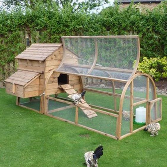 14 idées pour avoir des poules dans son jardin 7 14 idées pour avoir des poules dans son jardin 7