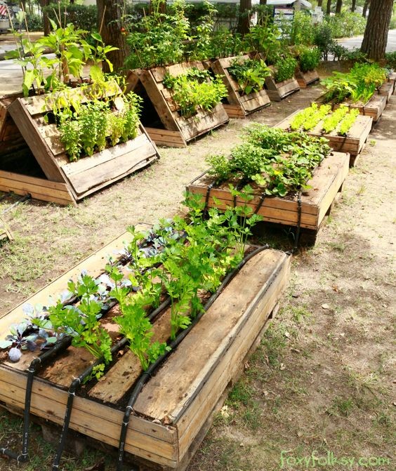 Potager en palette : 41 exemples de fabrications réussies pour t'inspirer 18 Potager en palette : 41 exemples de fabrications réussies pour t'inspirer 18