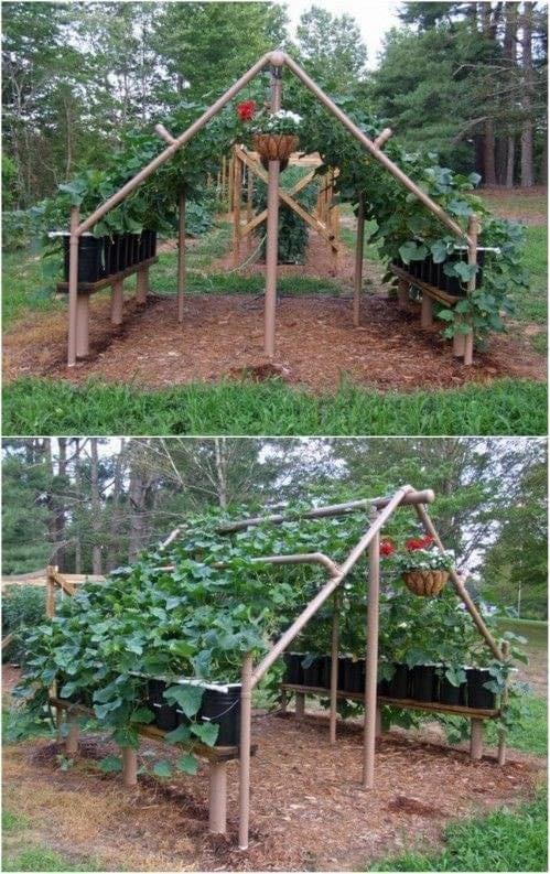 21 idées géniales pour le jardin 11