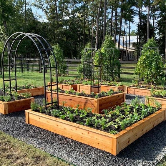 24 idées pour avoir un potager bien organisé 1 24 idées pour avoir un potager bien organisé 1
