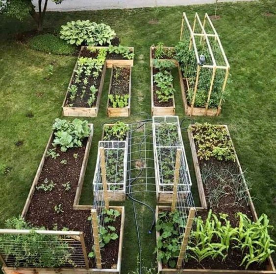 24 idées pour avoir un potager bien organisé 4