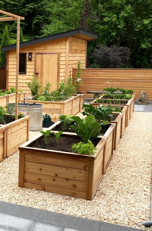 24 idées pour avoir un potager bien organisé 8
