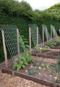 24 idées pour avoir un potager bien organisé 13