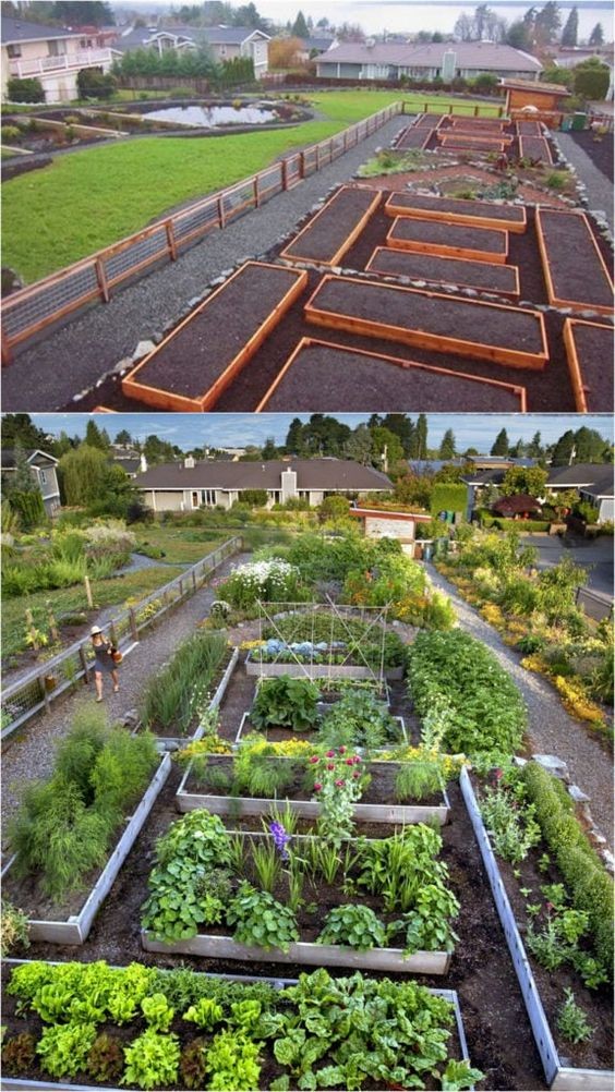 24 idées pour avoir un potager bien organisé 15