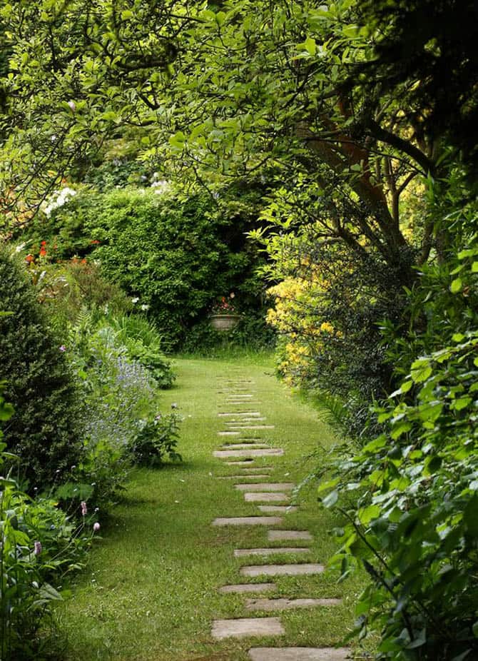 Stepping stones through grass walk.