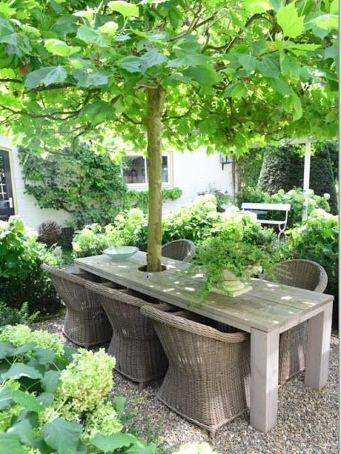 21 idées pour impliquer les arbres dans les espaces fonctionnels 17 21 idées pour impliquer les arbres dans les espaces fonctionnels 17