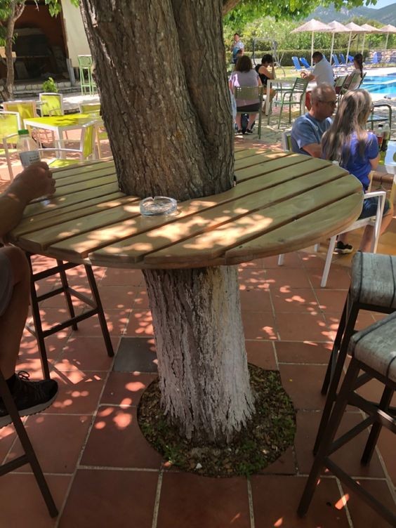 21 idées pour impliquer les arbres dans les espaces fonctionnels 19 21 idées pour impliquer les arbres dans les espaces fonctionnels 19