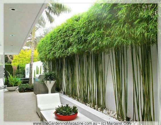25 Tendances en décoration pour les jardins 20 25 Tendances en décoration pour les jardins 20