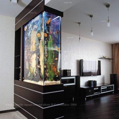 25 top idées d'aquariums de luxe 25