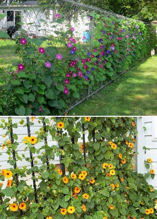 35 Clôtures pour petit jardin qui embelliront votre maison 32 35 Clôtures pour petit jardin qui embelliront votre maison 32