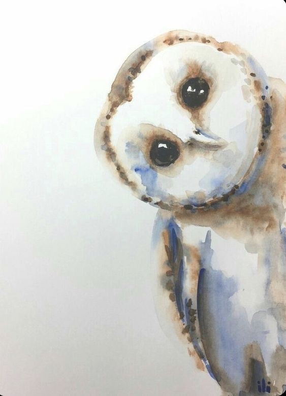 35 animaux à l'aquarelle pour apprendre à peindre des animaux 11 35 animaux à l'aquarelle pour apprendre à peindre des animaux 11