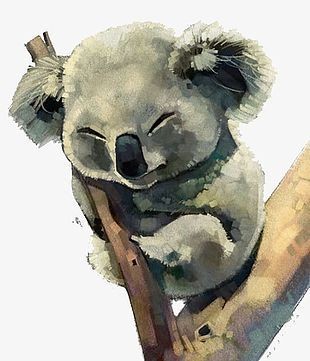 35 animaux à l'aquarelle pour apprendre à peindre des animaux 13 35 animaux à l'aquarelle pour apprendre à peindre des animaux 13