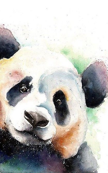 35 animaux à l'aquarelle pour apprendre à peindre des animaux 14 35 animaux à l'aquarelle pour apprendre à peindre des animaux 14