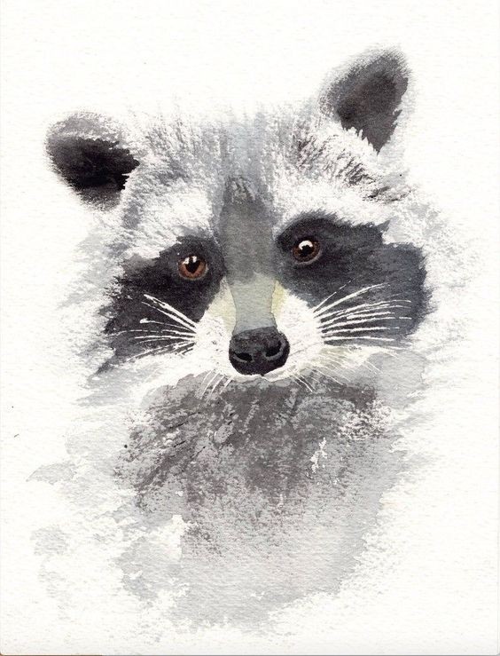 35 animaux à l'aquarelle pour apprendre à peindre des animaux 16 35 animaux à l'aquarelle pour apprendre à peindre des animaux 16