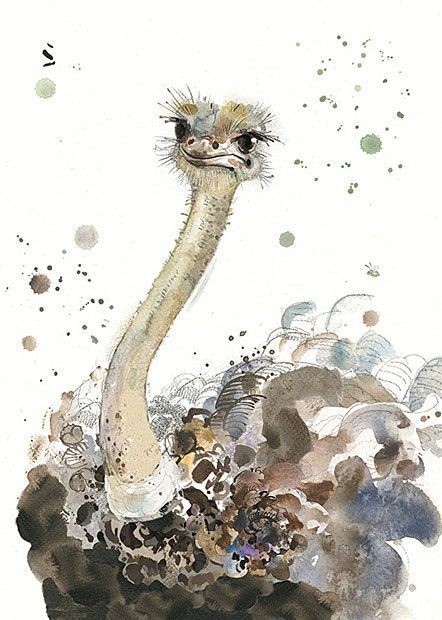 35 animaux à l'aquarelle pour apprendre à peindre des animaux 18 35 animaux à l'aquarelle pour apprendre à peindre des animaux 18