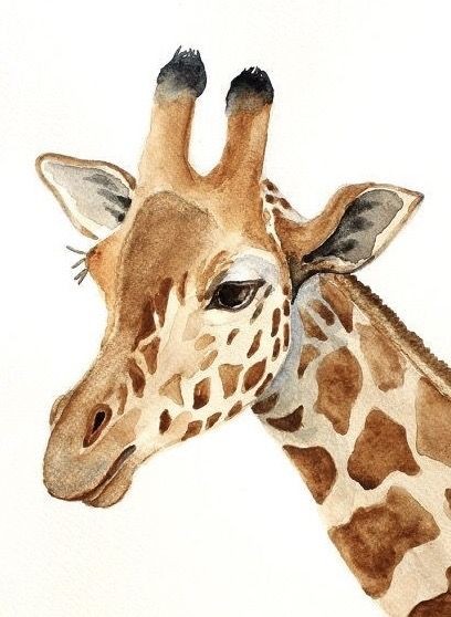 35 animaux à l'aquarelle pour apprendre à peindre des animaux 3 35 animaux à l'aquarelle pour apprendre à peindre des animaux 3