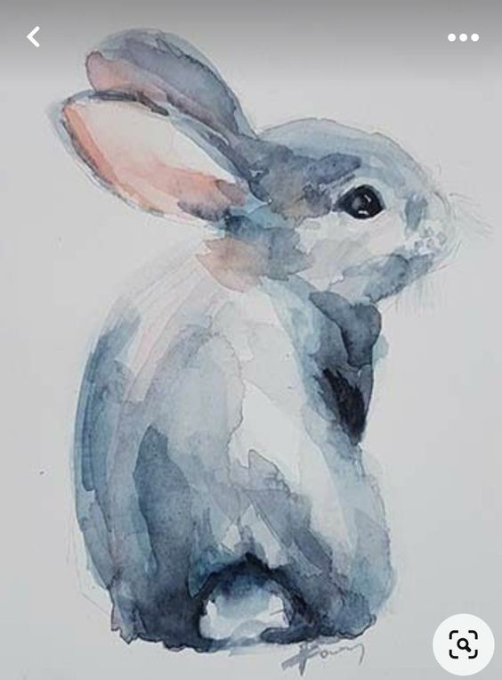 35 animaux à l'aquarelle pour apprendre à peindre des animaux 21 35 animaux à l'aquarelle pour apprendre à peindre des animaux 21