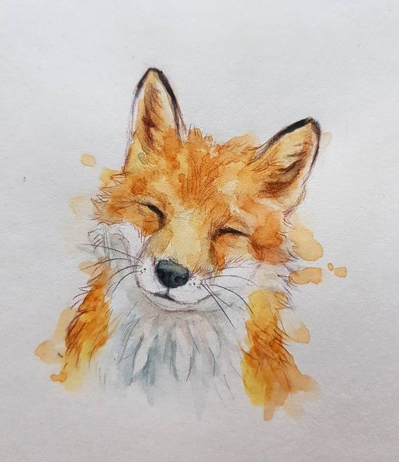 35 animaux à l'aquarelle pour apprendre à peindre des animaux 23 35 animaux à l'aquarelle pour apprendre à peindre des animaux 23