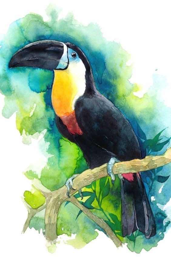 35 animaux à l'aquarelle pour apprendre à peindre des animaux 24 35 animaux à l'aquarelle pour apprendre à peindre des animaux 24