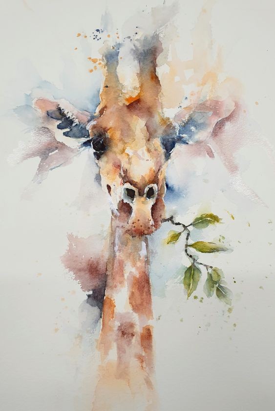 35 animaux à l'aquarelle pour apprendre à peindre des animaux 26 35 animaux à l'aquarelle pour apprendre à peindre des animaux 26