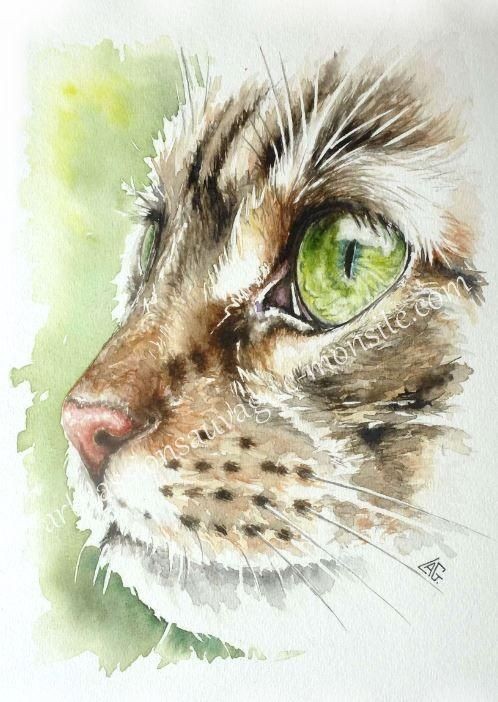 35 animaux à l'aquarelle pour apprendre à peindre des animaux 27 35 animaux à l'aquarelle pour apprendre à peindre des animaux 27