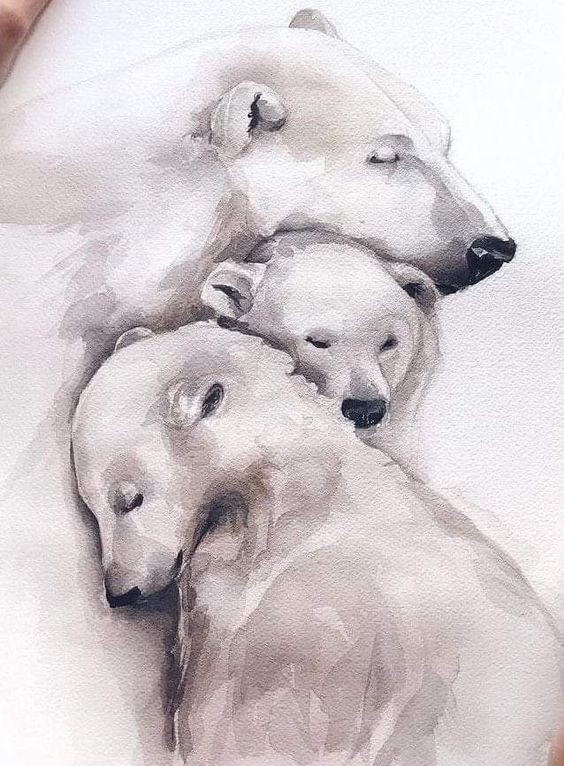 35 animaux à l'aquarelle pour apprendre à peindre des animaux 28 35 animaux à l'aquarelle pour apprendre à peindre des animaux 28