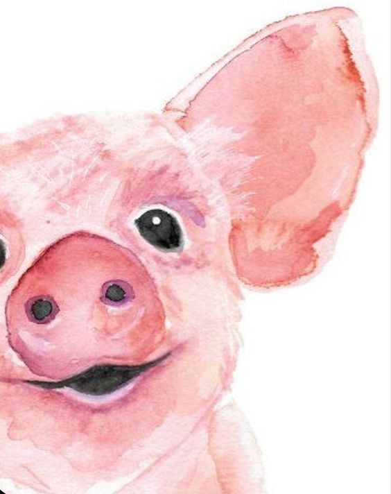 35 animaux à l'aquarelle pour apprendre à peindre des animaux 29 35 animaux à l'aquarelle pour apprendre à peindre des animaux 29