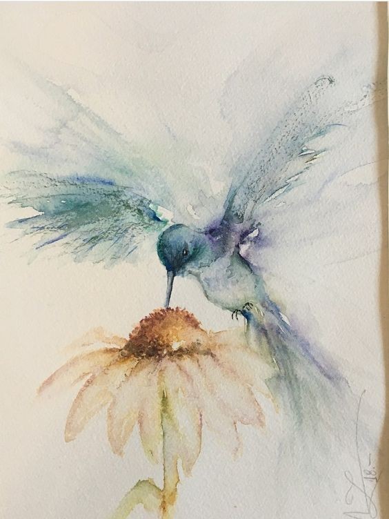 35 animaux à l'aquarelle pour apprendre à peindre des animaux 30 35 animaux à l'aquarelle pour apprendre à peindre des animaux 30