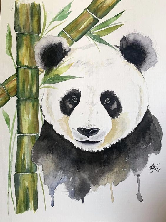 35 animaux à l'aquarelle pour apprendre à peindre des animaux 4 35 animaux à l'aquarelle pour apprendre à peindre des animaux 4
