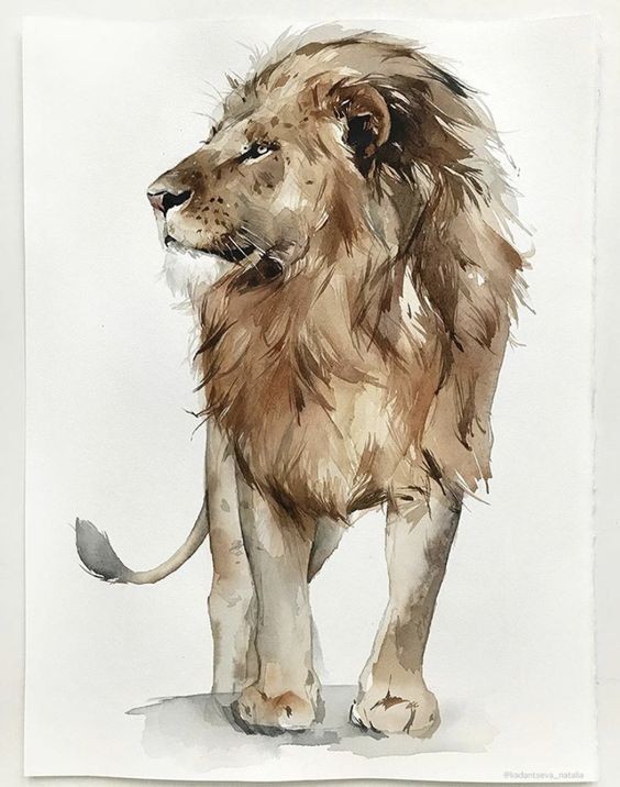 35 animaux à l'aquarelle pour apprendre à peindre des animaux 31 35 animaux à l'aquarelle pour apprendre à peindre des animaux 31