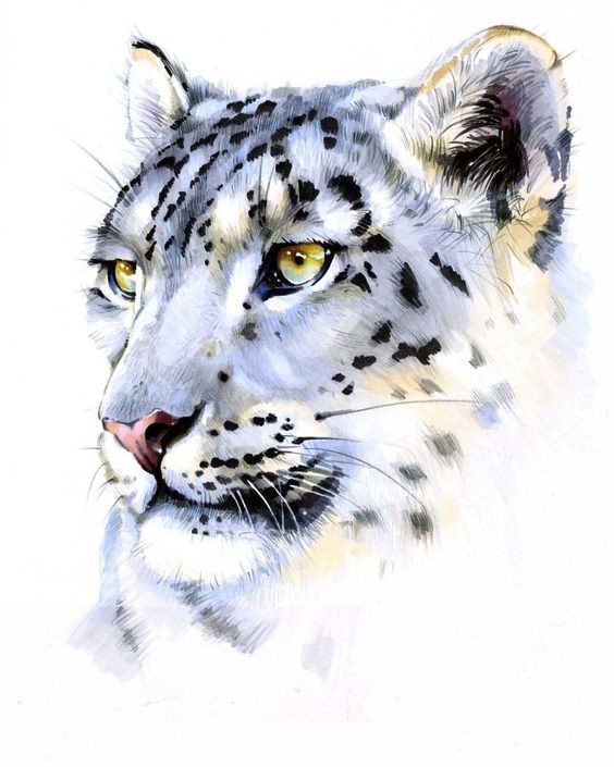 35 animaux à l'aquarelle pour apprendre à peindre des animaux 32 35 animaux à l'aquarelle pour apprendre à peindre des animaux 32