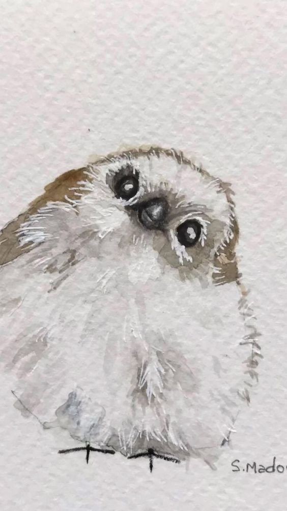 35 animaux à l'aquarelle pour apprendre à peindre des animaux 33 35 animaux à l'aquarelle pour apprendre à peindre des animaux 33