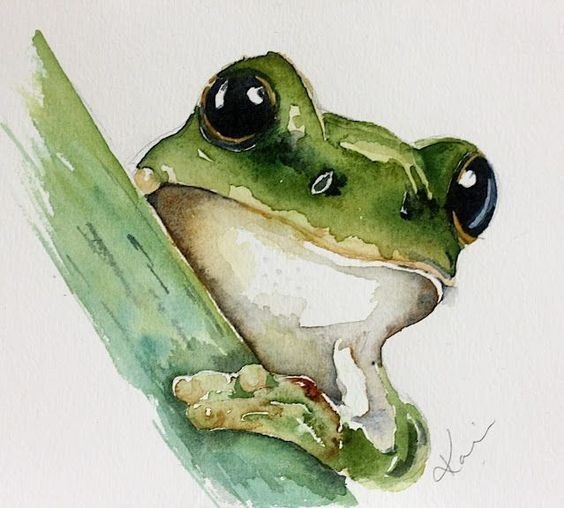35 animaux à l'aquarelle pour apprendre à peindre des animaux 34 35 animaux à l'aquarelle pour apprendre à peindre des animaux 34