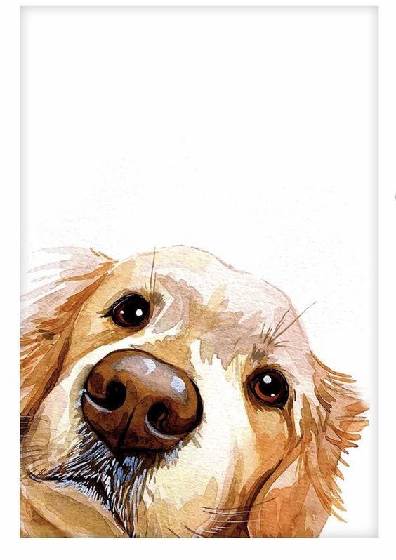 35 animaux à l'aquarelle pour apprendre à peindre des animaux 35 35 animaux à l'aquarelle pour apprendre à peindre des animaux 35