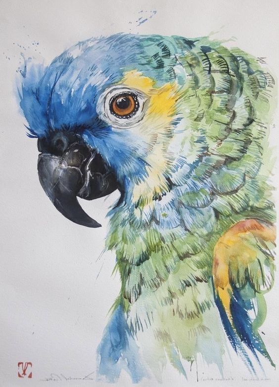 35 animaux à l'aquarelle pour apprendre à peindre des animaux 6 35 animaux à l'aquarelle pour apprendre à peindre des animaux 6